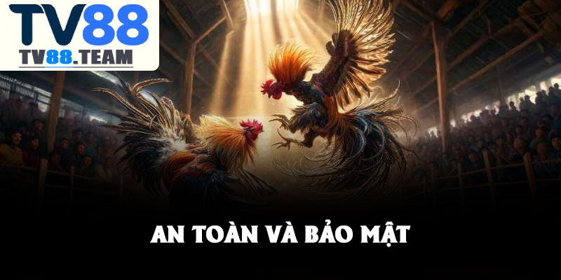Đá gà TV88 – Khám phá thế giới giải trí online sôi động 3 An toàn và bảo mật