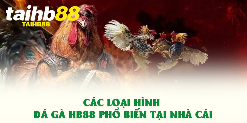 Đá gà HB88 – Trải nghiệm đỉnh cao cùng sàn cá cược hàng đầu 2 Các loại hình đá gà HB88 phổ biến tại nhà cái