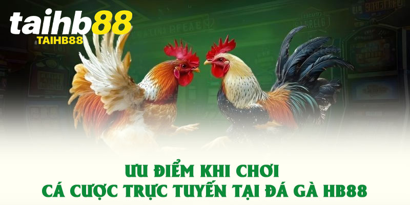 Đá gà HB88 – Trải nghiệm đỉnh cao cùng sàn cá cược hàng đầu 3 Ưu điểm khi chơi cá cược trực tuyến tại đá gà HB88
