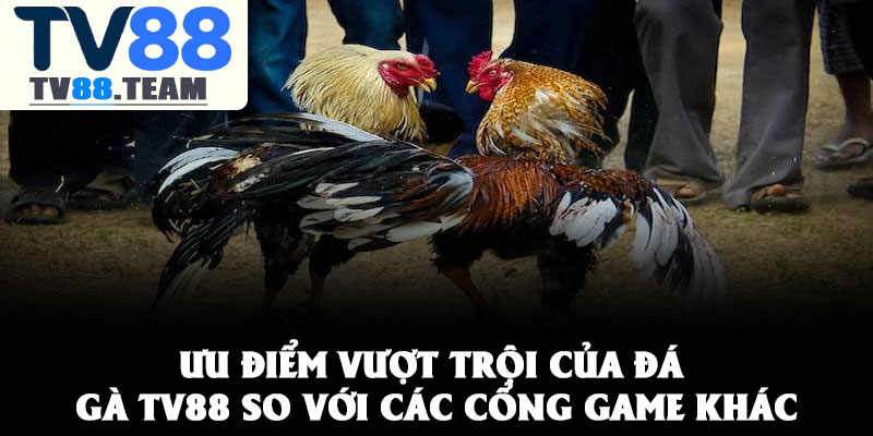 Đá gà TV88 – Khám phá thế giới giải trí online sôi động 2 Ưu điểm vượt trội của đá gà TV88 so với các cổng game khác