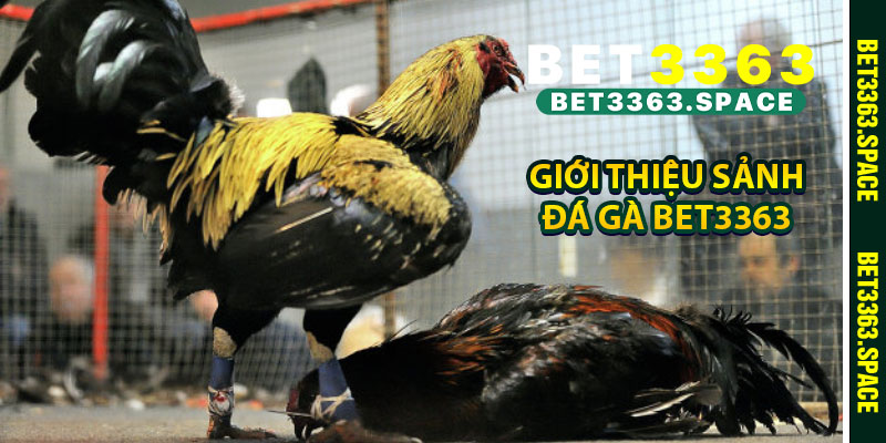 Giới thiệu sảnh đá gà BET3363