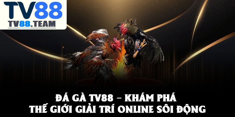 Đá gà TV88 – Khám phá thế giới giải trí online sôi động 3 Đá gà TV88 – Khám phá thế giới giải trí online sôi động